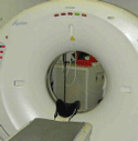 CT scan