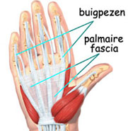 fascia