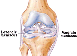 meniscus